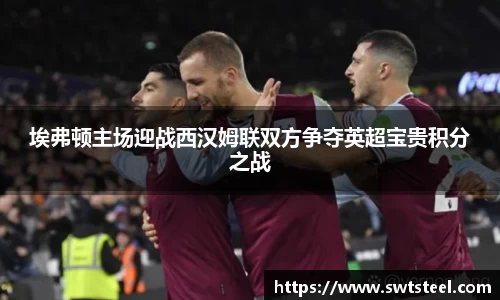 埃弗顿主场迎战西汉姆联双方争夺英超宝贵积分之战